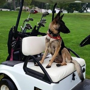 Meet your Posher, Jean